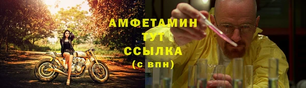 PSILOCYBIN Аркадак