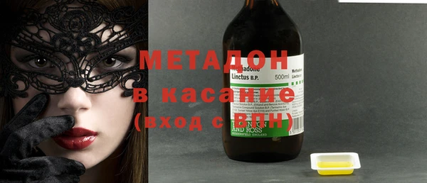 шишки Арсеньев