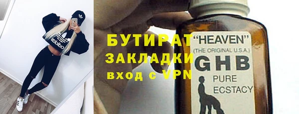 шишки Арсеньев