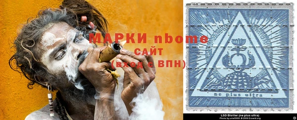шишки Арсеньев