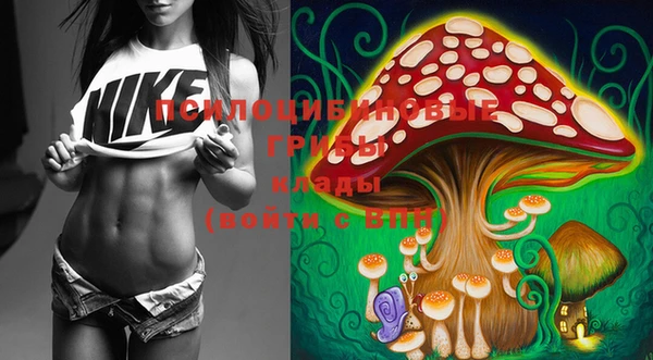 PSILOCYBIN Аркадак